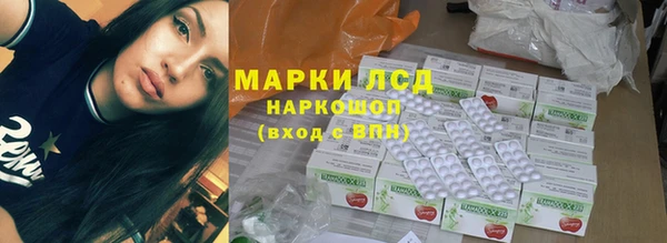 ГАЛЛЮЦИНОГЕННЫЕ ГРИБЫ Бородино