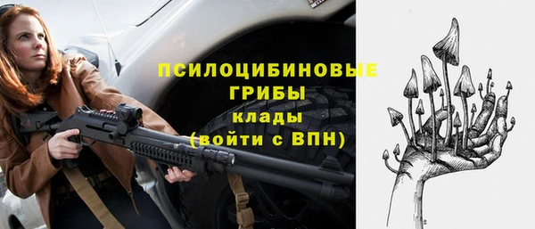 прущая мука Богородск