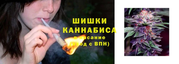 прущая мука Богородск