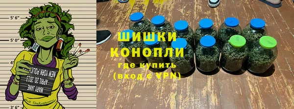 ГАЛЛЮЦИНОГЕННЫЕ ГРИБЫ Бородино