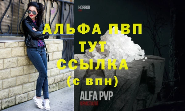 a pvp Белокуриха