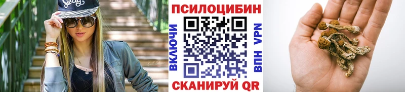 Псилоцибиновые грибы мухоморы  Купить  Тольятти 